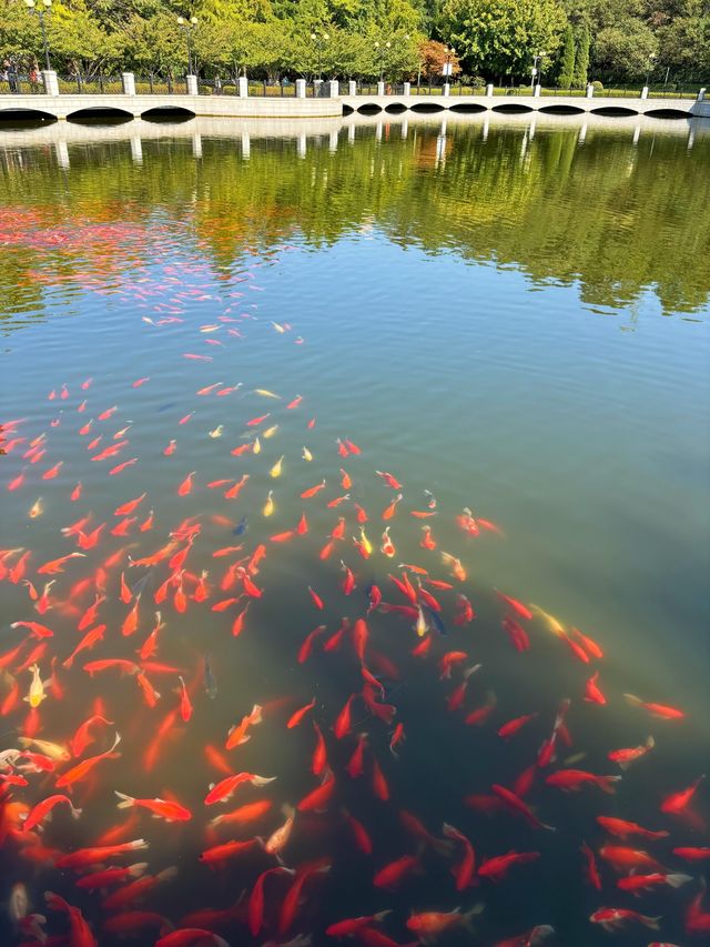 大連兒童公園超詳細攻略，帶娃賞景兩不誤