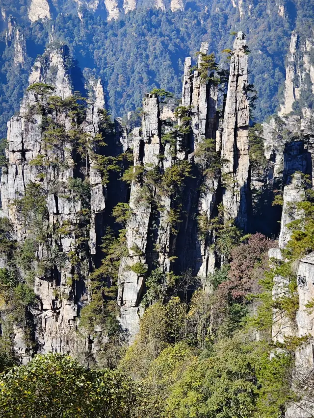 Changsha-Zhangjiajie-Grand Canyon: A Must-See Travel Guide for Your Crew