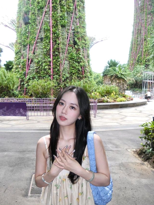 Cloud Forest Garden, and Starry Sky Garden in Singapore🥰❤️