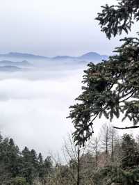 小長假樂山3日遊 玩轉全攻略