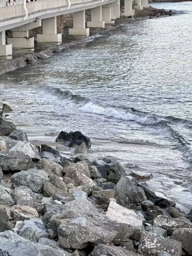 金色沙灘，歷史與海的交匯——金色海岸與深圳博物館