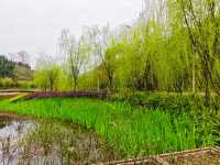 坐落在金沙江畔的公園