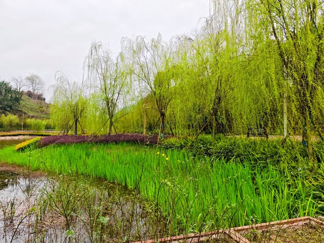 坐落在金沙江畔的公園