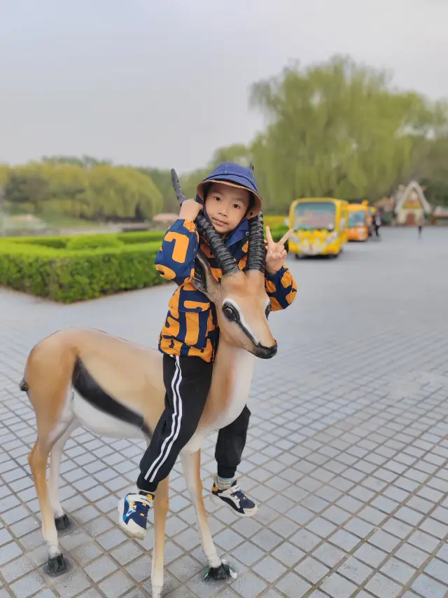 พาเด็กๆ มาเช็คอินที่สวนสัตว์ปักกิ่งอย่างถูกวิธี~