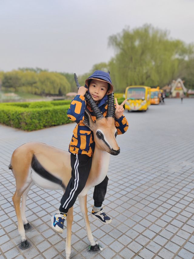 帶娃打卡北京野生動物園的正確姿勢~