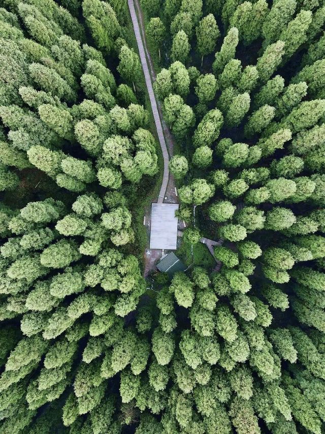 6天暢遊昆明等地 熱門美景一網打盡速碼