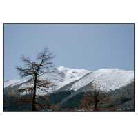 人生是曠野｜一定要來一次梅里雪山