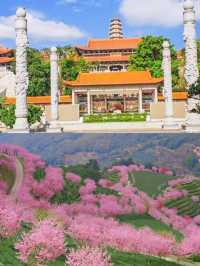 梅州之旅已結束，分享一些真心話。