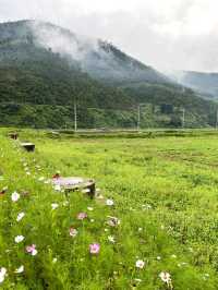 涼山4日遊 玩轉全景別錯過