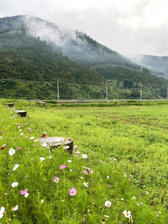 涼山4日遊 玩轉全景別錯過