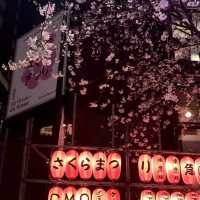 被澀谷夜櫻美到失語，東京限定浪漫