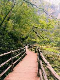 Tianzi Mountain 