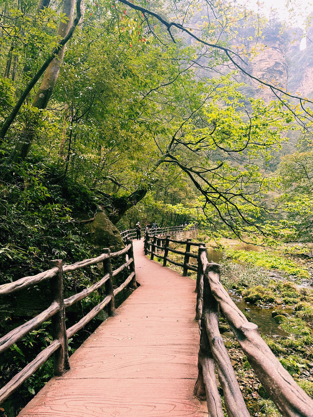 Tianzi Mountain 