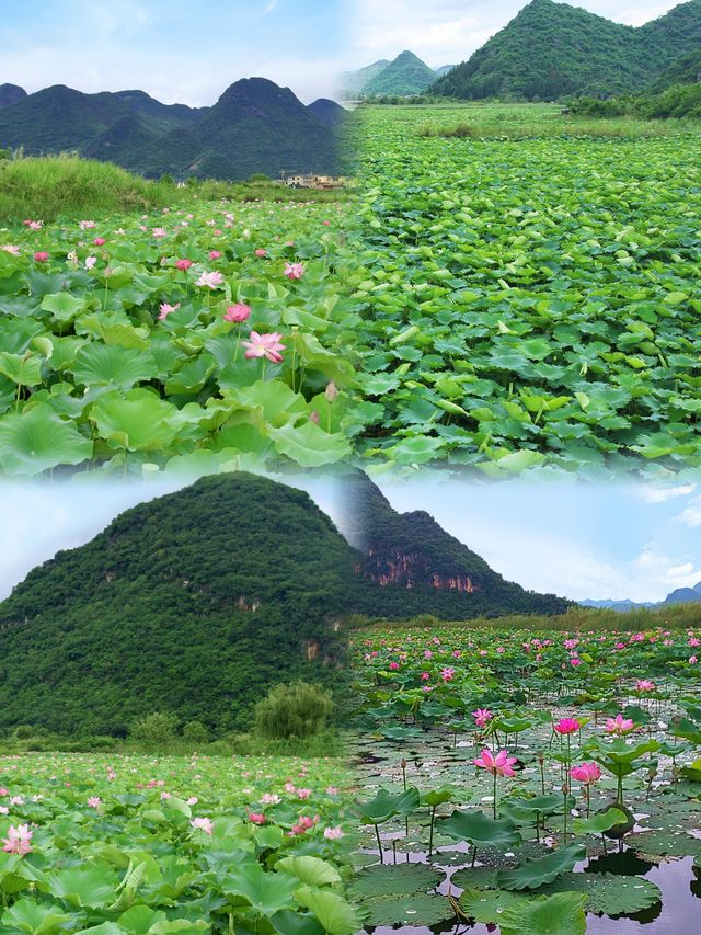 被低估嘅小眾旅行地！普者黑唔呃窮人，真係好抵玩