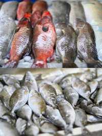 在紅海魚市場盡情享受味蕾盛宴——吉達中央海鮮市場