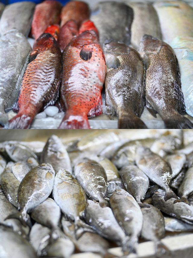 在紅海魚市場盡情享受味蕾盛宴——吉達中央海鮮市場