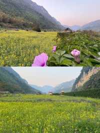 穿越雲南嘅百里畫廊