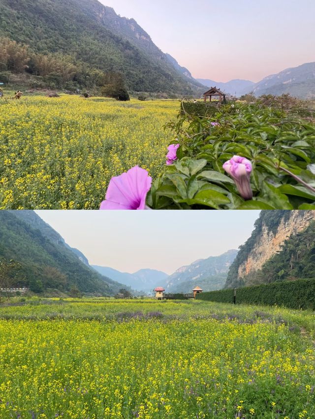穿越雲南嘅百里畫廊