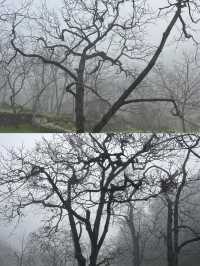 探索雲南古墨村，千年墨香飄四方