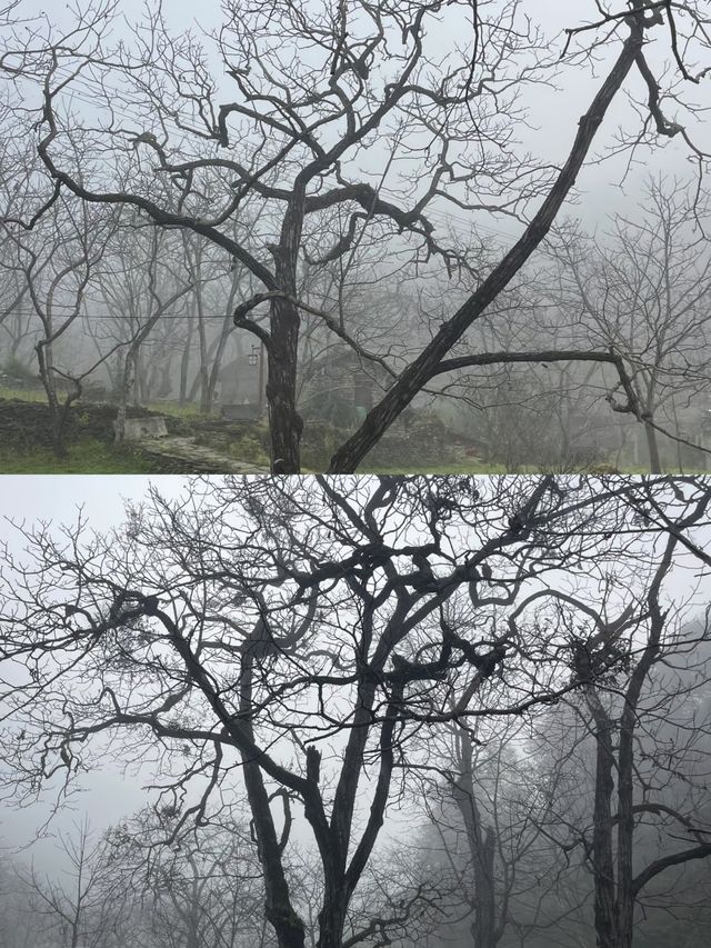 探索雲南古墨村，千年墨香飄四方