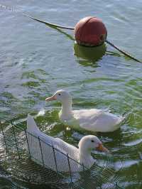 珠海海濱公園：野餐的夢幻之境