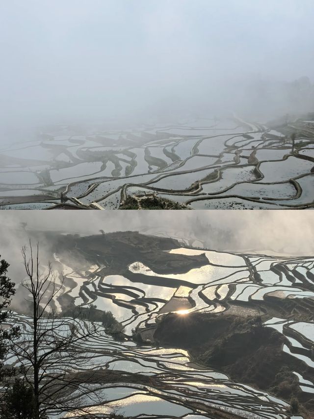 探索雲南紅河的梯田秘境