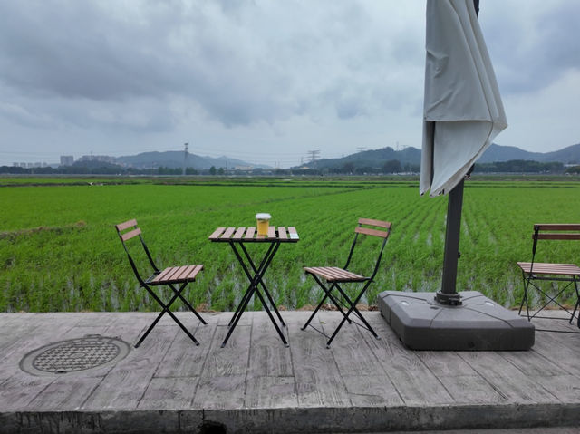 ✨中山隱藏版田園咖啡秘境！偽出國感直接拉滿☕️