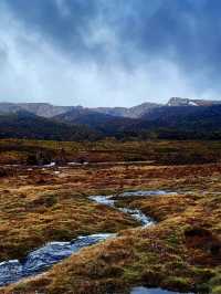 Tasmania wonders of animal kingdom #tasmania