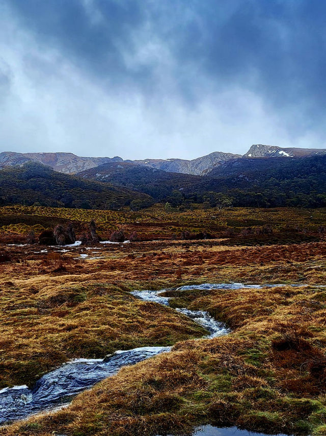 Tasmania wonders of animal kingdom #tasmania