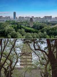 住西安皇冠假日，享受枕着小雁塔入眠的快樂