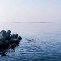 日本留學日記｜大阪人私藏秘境！告別人擠人，去森南臨空公園看海吧🌊 