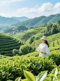 普洱 | 4 - 5 月，邂逅北緯 22°的春日茶鄉奇幻之旅