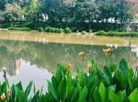 廣東省佛山市公園景點：湖心公園，適合觀光旅遊、度假休閒等！