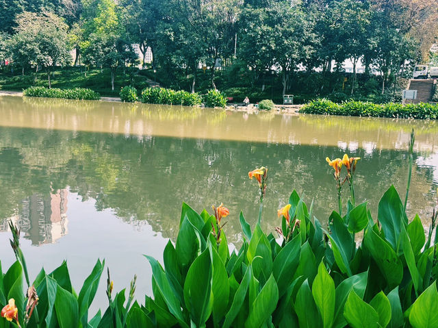 廣東省佛山市公園景點：湖心公園，適合觀光旅遊、度假休閒等！