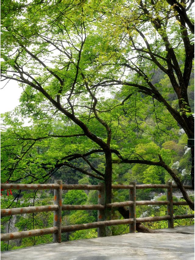 西安周邊1.5H逃離城市去溪谷山林吸氧徒步