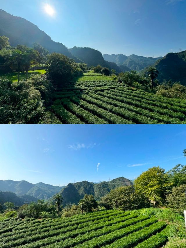 想喺武義無限續住嘅民宿，好治癒