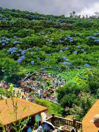 世外桃園·隱於山野 | 筱村公社·伴山雲居