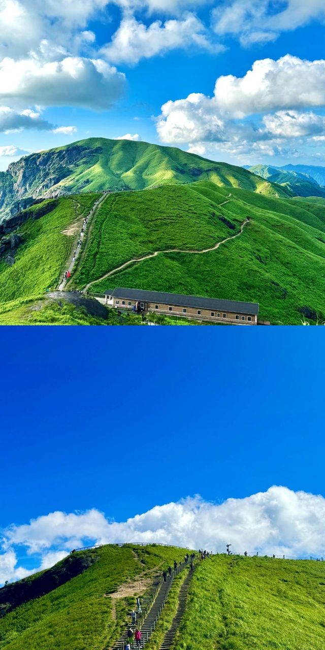 與生活的一次邂逅