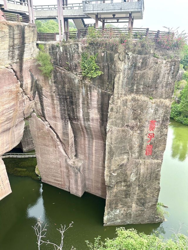 五一去番禺蓮花山睇花海真係超級靚🪷