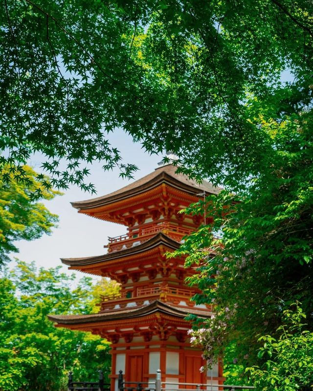京都宇治一日遊，串連時空的日式美學之旅