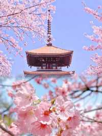 武漢超詳細旅遊攻略 逛吃不停歇