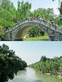 5月19日 |，揚州瘦西湖景區免費開放！