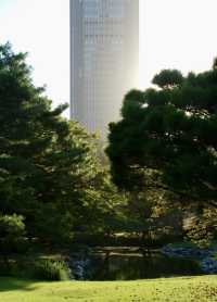 原來是真的，就在東京新宿御苑～