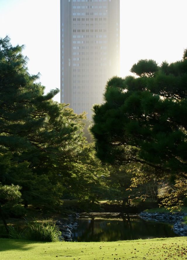 原來是真的，就在東京新宿御苑～