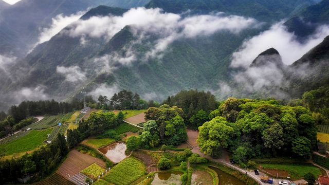 旗山俠隱·深呼吸：30000個/立方厘米​負氧離子