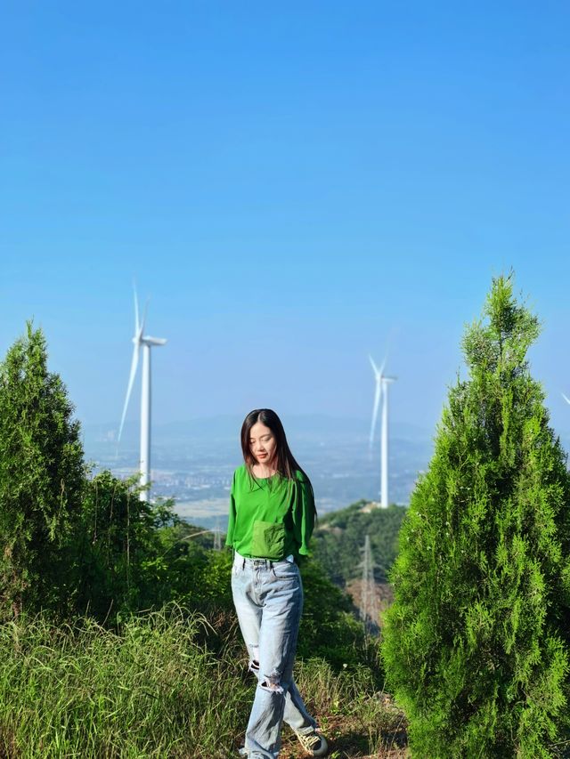 湖州長興｜冇錯，就係叫野山～我嘅私藏露營地