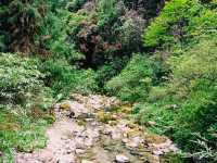 The Mysterious Beauty of Heizhu Valley