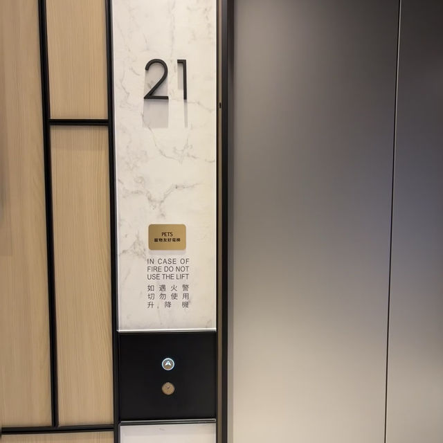 邂逅香港萌寵樂園✨本舍酒店帶毛孩開啟愜意旅居