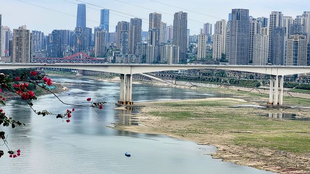黃葛樹之都——重慶