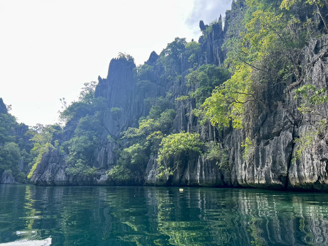 I want to go back!